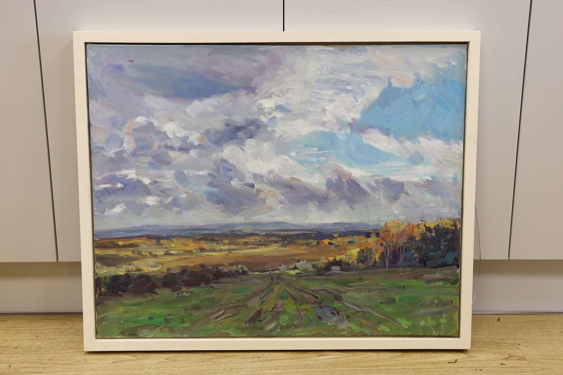 Tom Benjamin (b.1967), oil on canvas, 'Ashdown Forest, Autumn', signed, 60 x 76cm